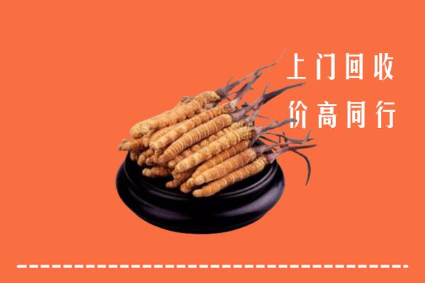 高价求购：安顺回收散虫草